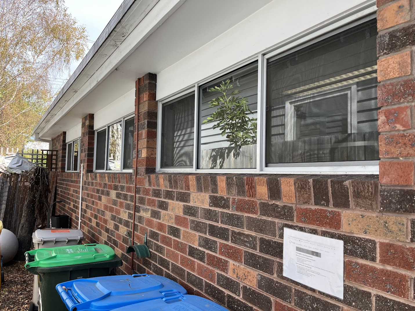 Rear exterior windows with fly screens — after clean